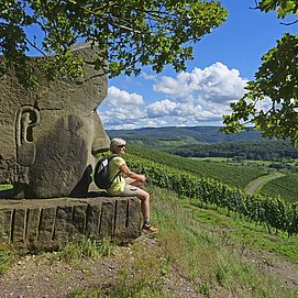 Blick auf Wawern