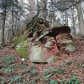 Walderlebnispfad (2)