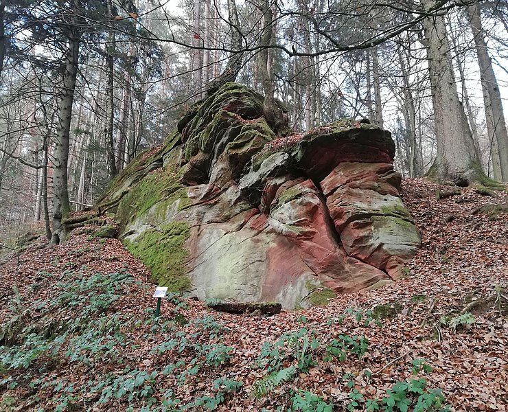 Walderlebnispfad (2)