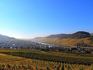 Blick auf Nittel (01)