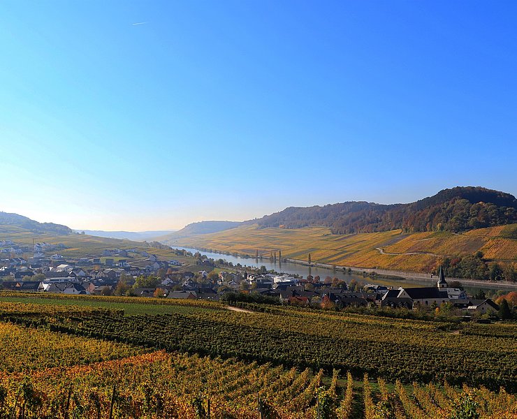 Blick auf Nittel (01)