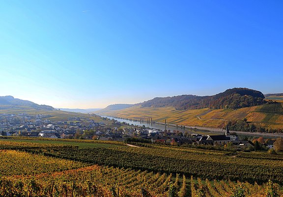 Blick auf Nittel (01)