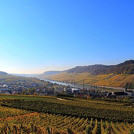 Blick auf Nittel (01)