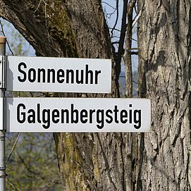 Galgenberg Wiltingen