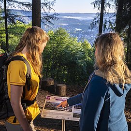 Traumschleife "Saar-Leuktal-Panorama" (2)