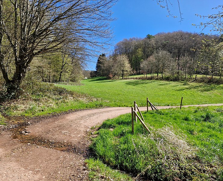 Radweg bei Trassem-Perdenbach