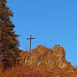 Saar-Riesling-Steig (05)