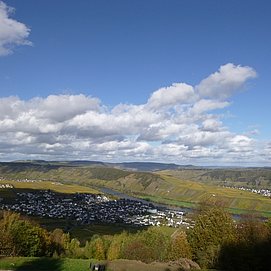 Großes Moselpanorama: Klüsserath, Leiwen, Trittenheim