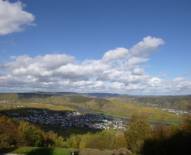 Großes Moselpanorama: Klüsserath, Leiwen, Trittenheim
