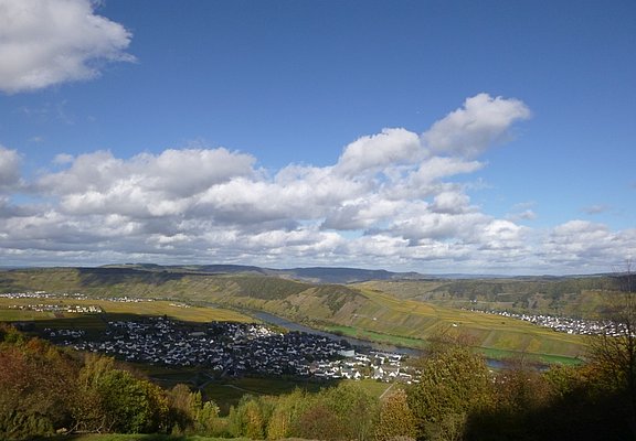 Großes Moselpanorama: Klüsserath, Leiwen, Trittenheim