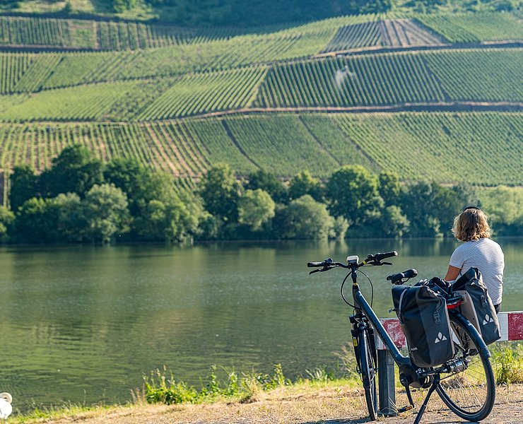 Kurze Pause bei Longuich mit Blick auf die Weinberge