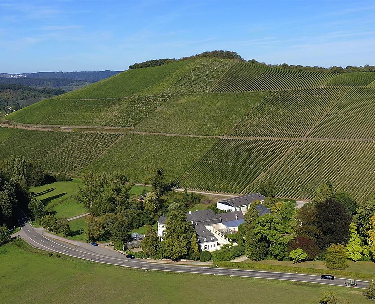 Scharzhofberg Wiltingen