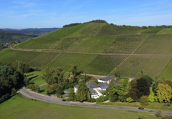 Scharzhofberg Wiltingen