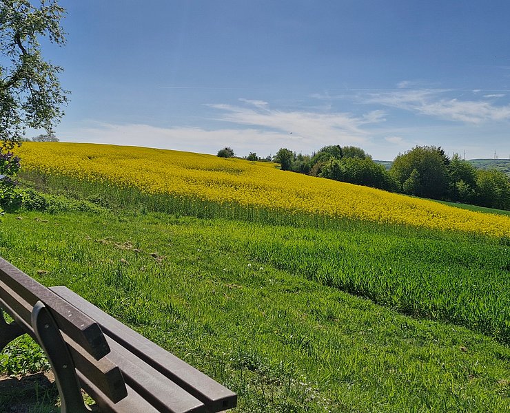 Ausblick auf den Saargau von Kastel (1)