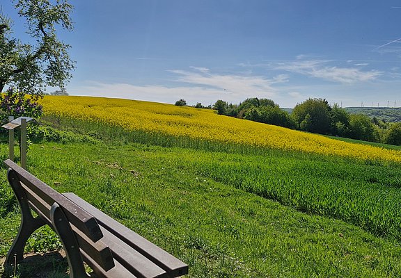 Ausblick auf den Saargau von Kastel (1)