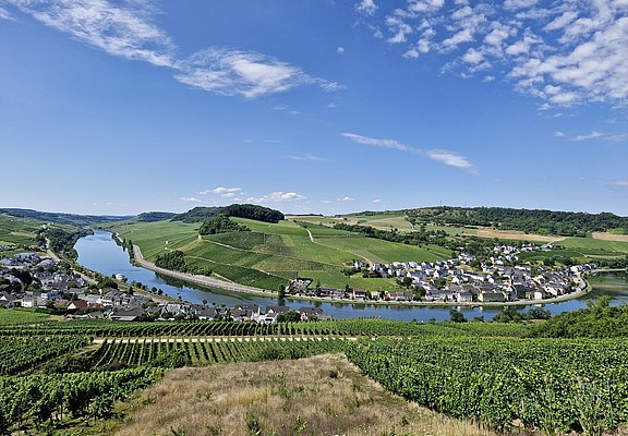 Moselschleife zwischen Nittel und Machtum