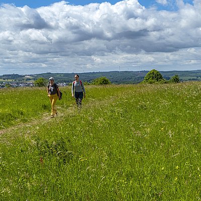 Foto: Wanderer (3)