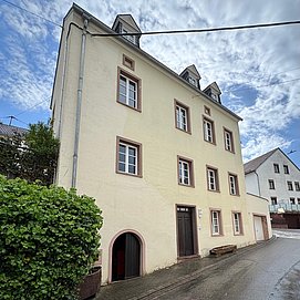 Linden's Apartements Ayl (06)