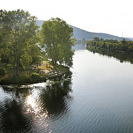 Saarmündung Konz (3)