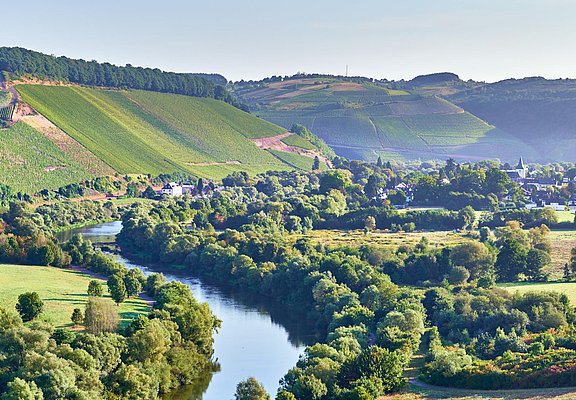 Weingut Von Othegraven Kanzem (02)
