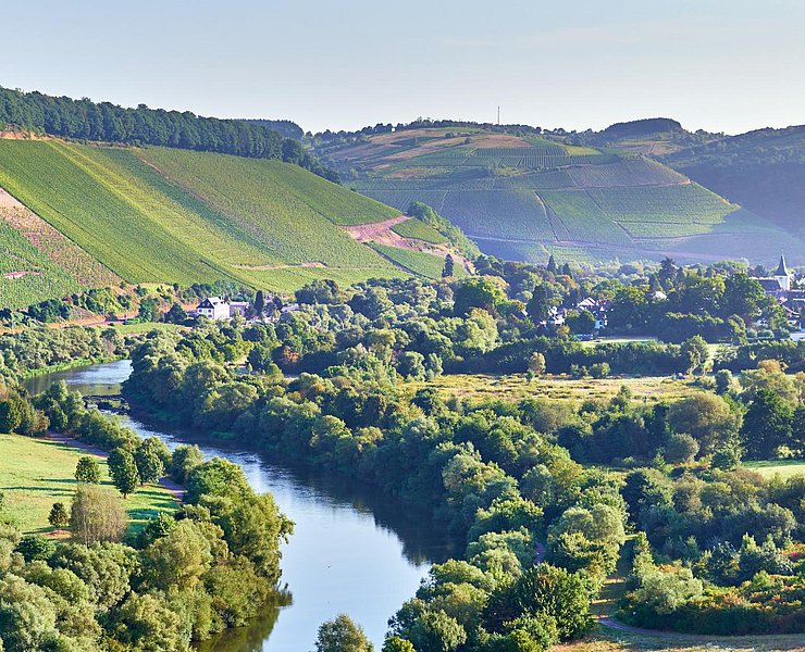 Weingut Von Othegraven Kanzem (02)