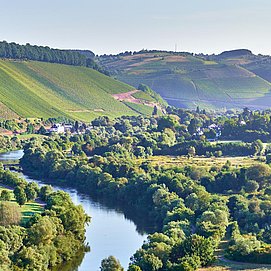Weingut Von Othegraven Kanzem (02)