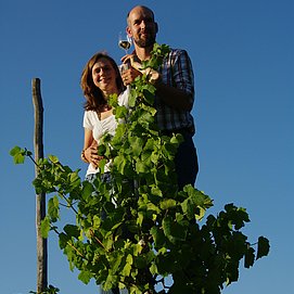 Weingut Dr. Frey Kanzem (4)
