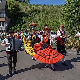 Umzug Saarweinfest (9)
