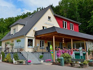 Camping Waldfrieden Saarburg (1)