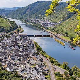 Mosel Neef St. Aldegund Leuchtpunkt