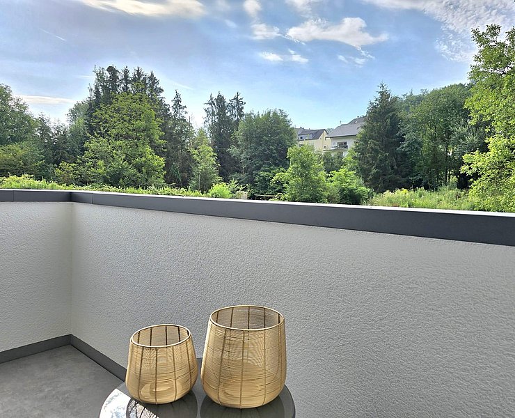 Ferienwohnungen Miller Saarburg (02)