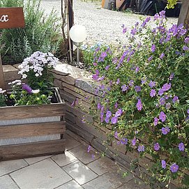 Terrasse-Impressionen