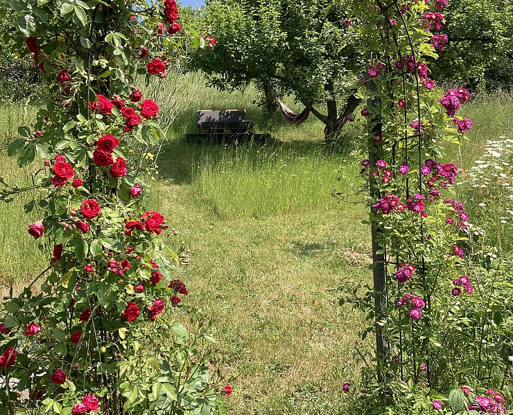 Der Garten im Sommer mit Hängematte
