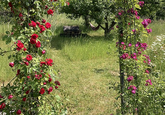 Der Garten im Sommer mit Hängematte