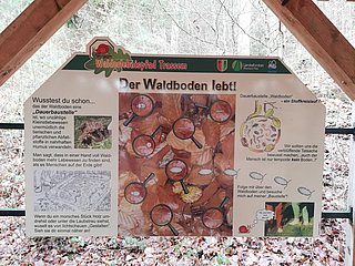 Wald und Boden (1)