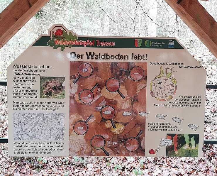 Wald und Boden (1)