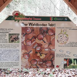 Wald und Boden (1)