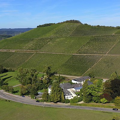 Foto: Scharzhofberg Wiltingen