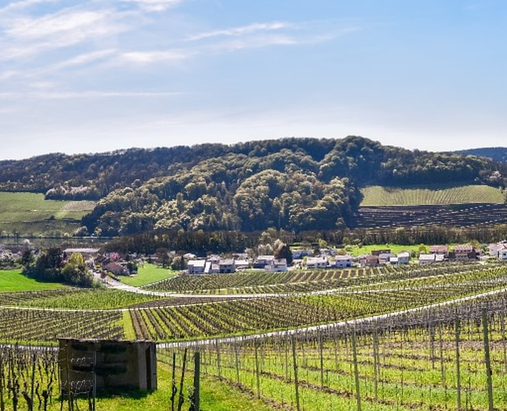 Einstieg Moselsteig Dreiländerblick: Blick Richtung Schengen (Luxemburg, links) und Apach (Frankreich, rechts)