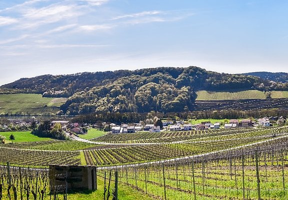 Einstieg Moselsteig Dreiländerblick: Blick Richtung Schengen (Luxemburg, links) und Apach (Frankreich, rechts)