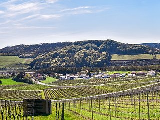 Einstieg Moselsteig Dreiländerblick: Blick Richtung Schengen (Luxemburg, links) und Apach (Frankreich, rechts)