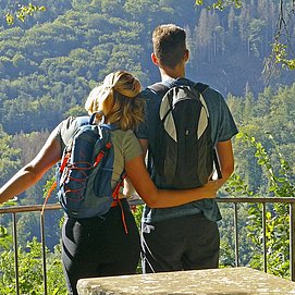 Traumschleife Kasteler Felsenpfad (4)