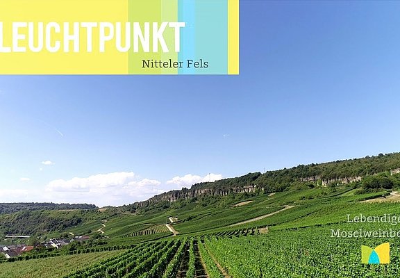 Video Youtube Lebendige Moselweinberge