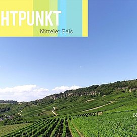 Video Youtube Lebendige Moselweinberge