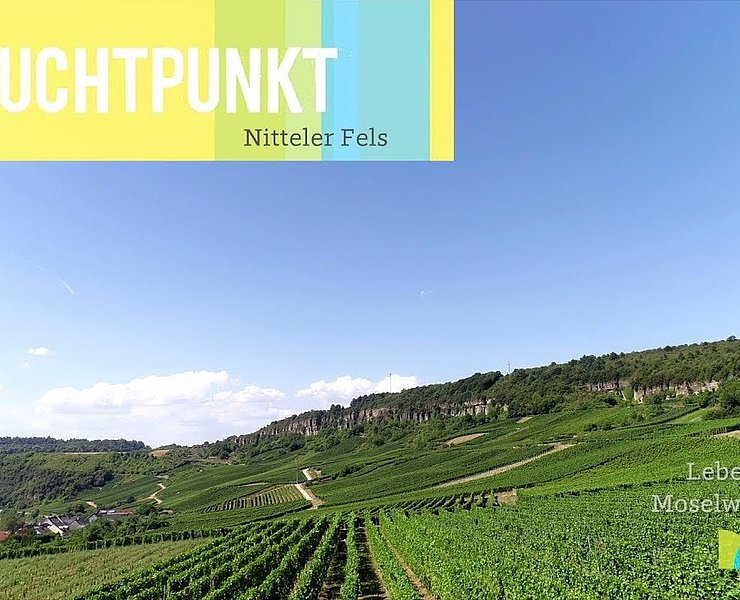 Video Youtube Lebendige Moselweinberge