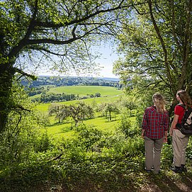 Aussicht Traumschleife Mannebach 111