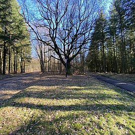 Krohkreuz (02)