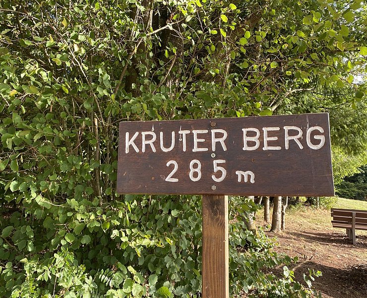 Kruterberg Blick auf Saarburg (09)