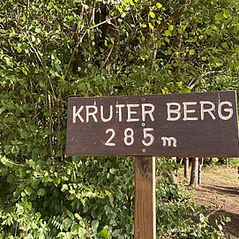 Kruterberg Blick auf Saarburg (09)