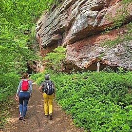 Kollesleuker Schweiz (1)